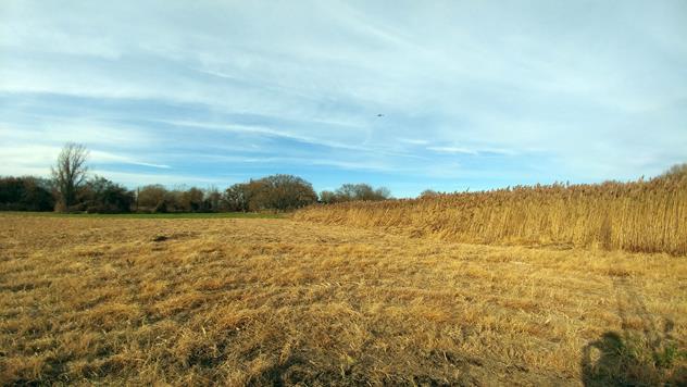 View facing north.