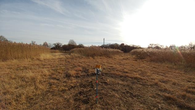 View facing south.