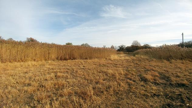 View facing southeast.
