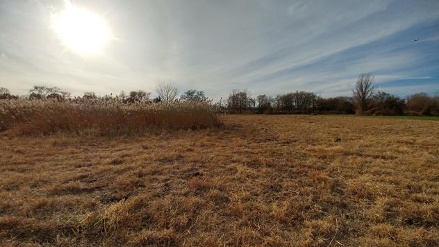 View facing west.