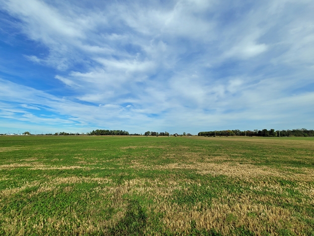 View facing east.