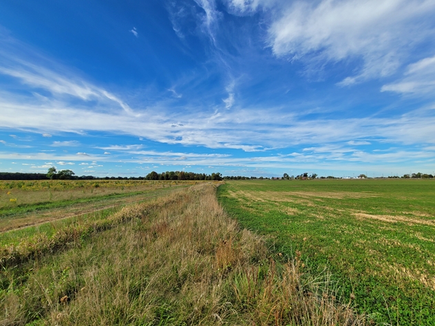View facing north.