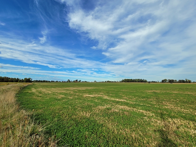 View facing northeast.