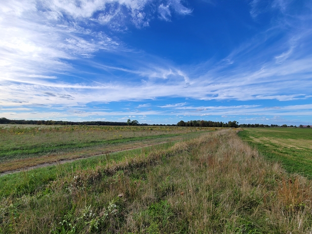 View facing northwest.