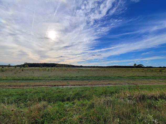 View facing west.
