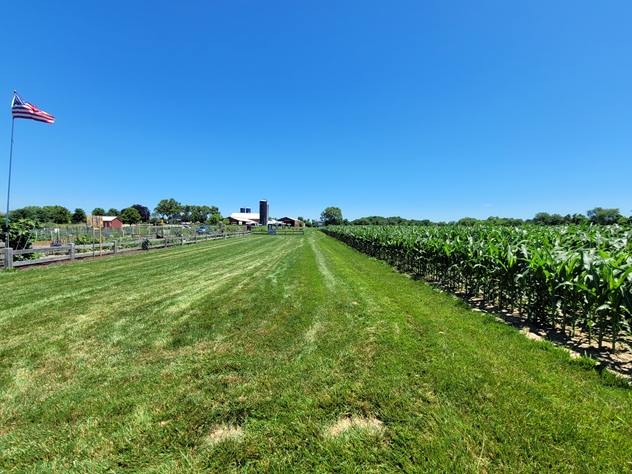 View facing northeast.