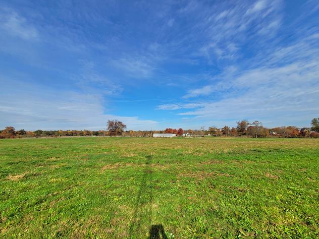 View facing north.