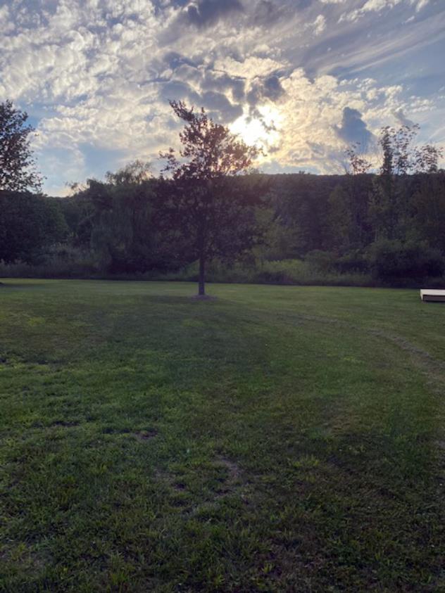 View facing west.
