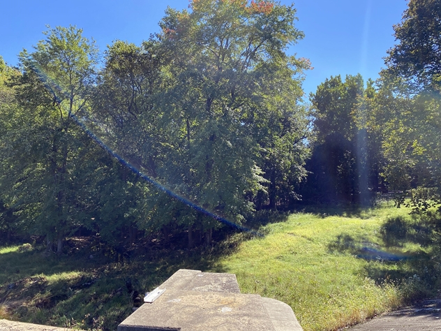 View facing south.