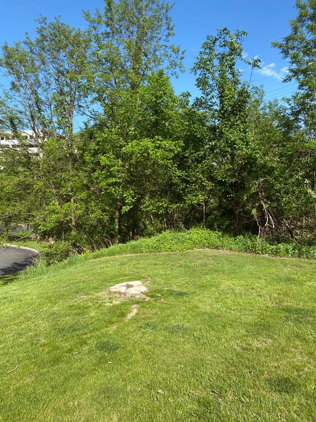 View facing east.