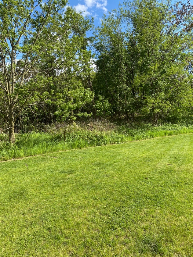 View facing south.