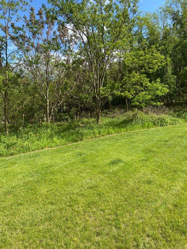 View facing southeast.