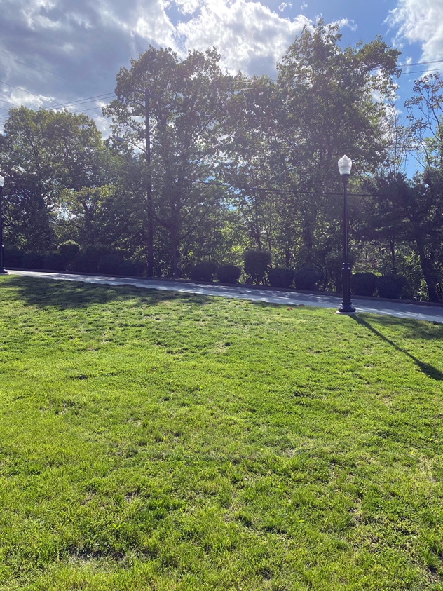 View facing west.