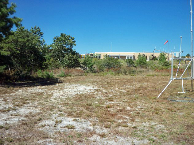 View facing north.