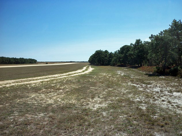 View facing south.