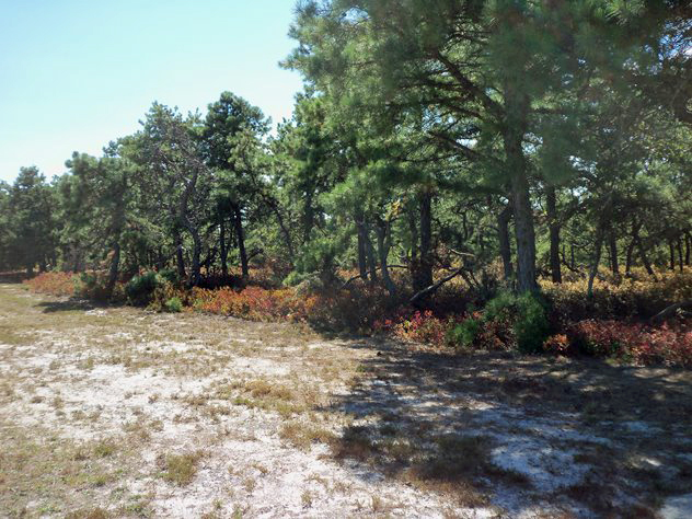 View facing southwest.