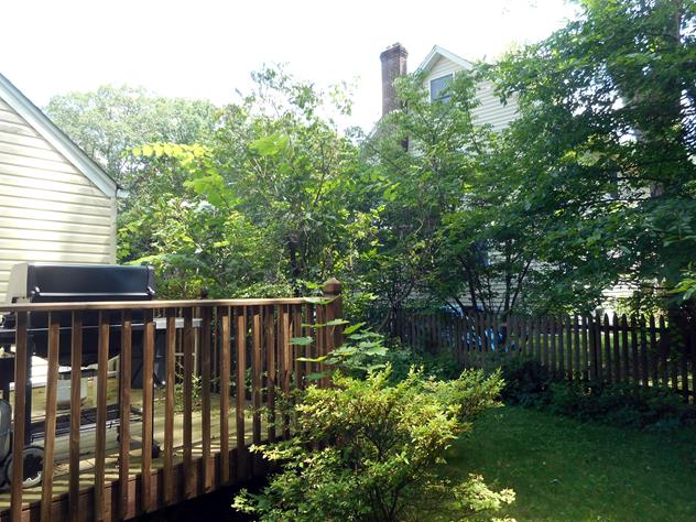 View facing southeast.