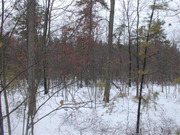 View facing north.