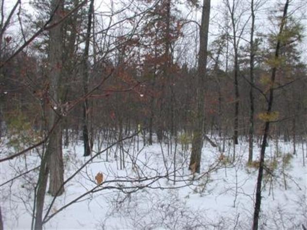 View facing northwest.