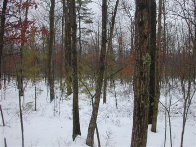 View facing south.