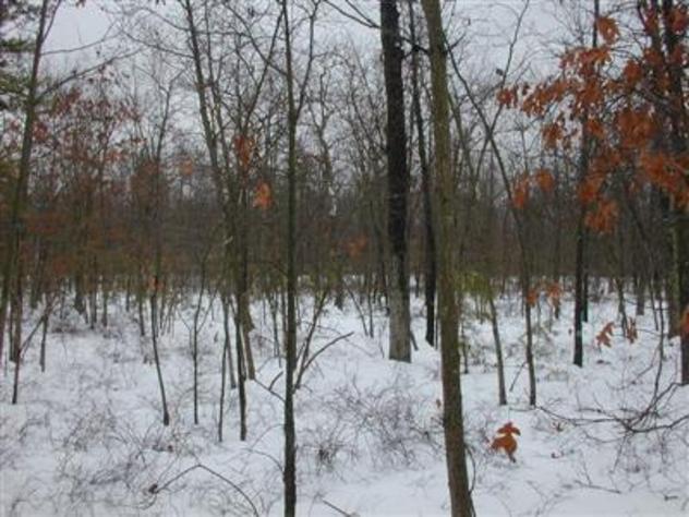 View facing southeast.