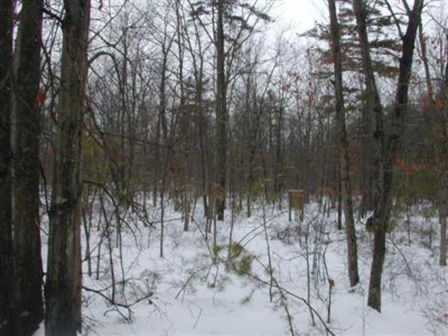 View facing west.