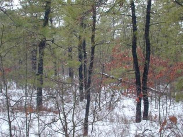 View facing west.