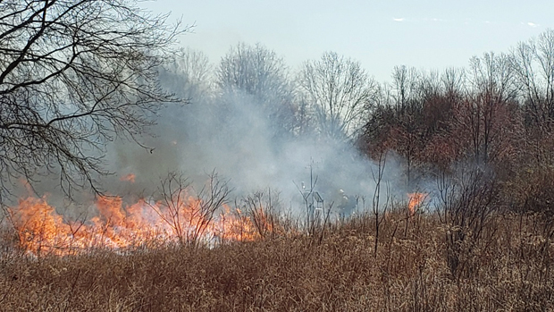 Controlled burn conducted near the Basking Ridge (Lord Sterling Park, Somerset County) Rutgers NJ Weather Network station by NJ Fire Service personnel on March 27th. Photo courtesy of Stephen Federico/Somerset County Park Commission. Controlled burn conducted near the Basking Ridge (Lord Sterling Park, Somerset County) Rutgers NJ Weather Network station by NJ Fire Service personnel on March 27th. Photo courtesy of Stephen Federico/Somerset County Park Commission.