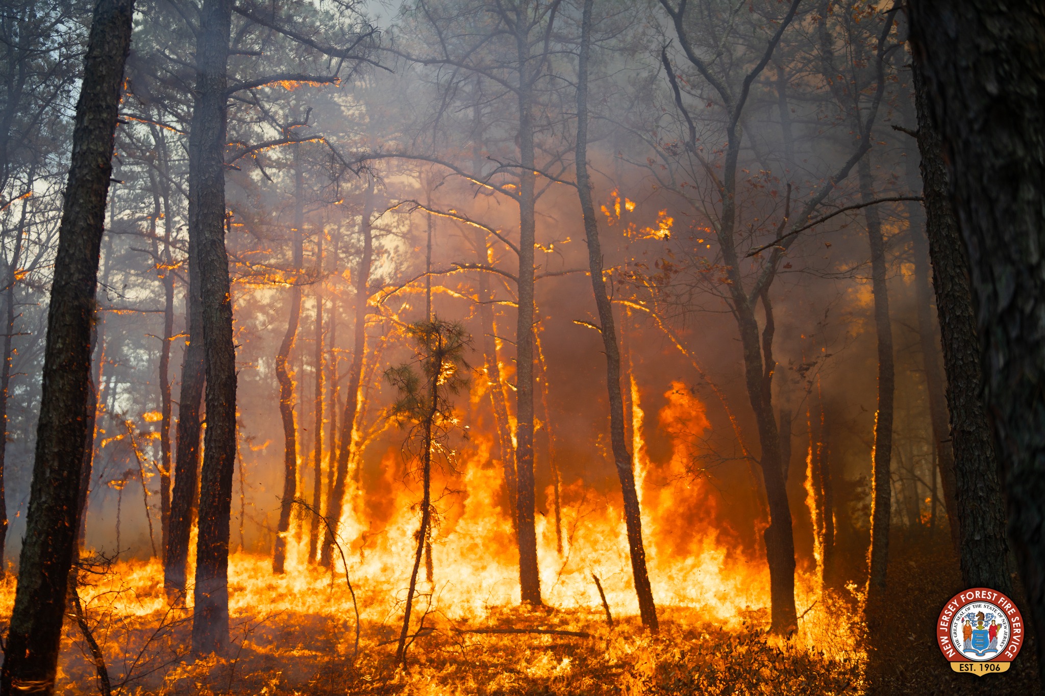 Figure 3. Bethany Run fire at the border of Burlington and Camden counties on November 7, 2024. It burned through 360 acres (courtesy of NJ Forest Fire Service). Bethany Run fire at the border of Burlington and Camden counties on November 7, 2024. It burned through 360 acres (courtesy of NJ Forest Fire Service).