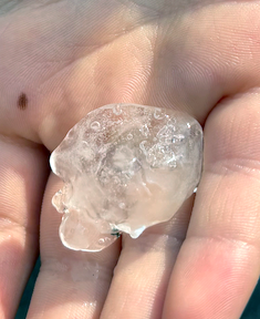 Figure 2. Hailstone gathered in Sandyston on May 6th. Hailstone gathered in Sandyston on May 6th.