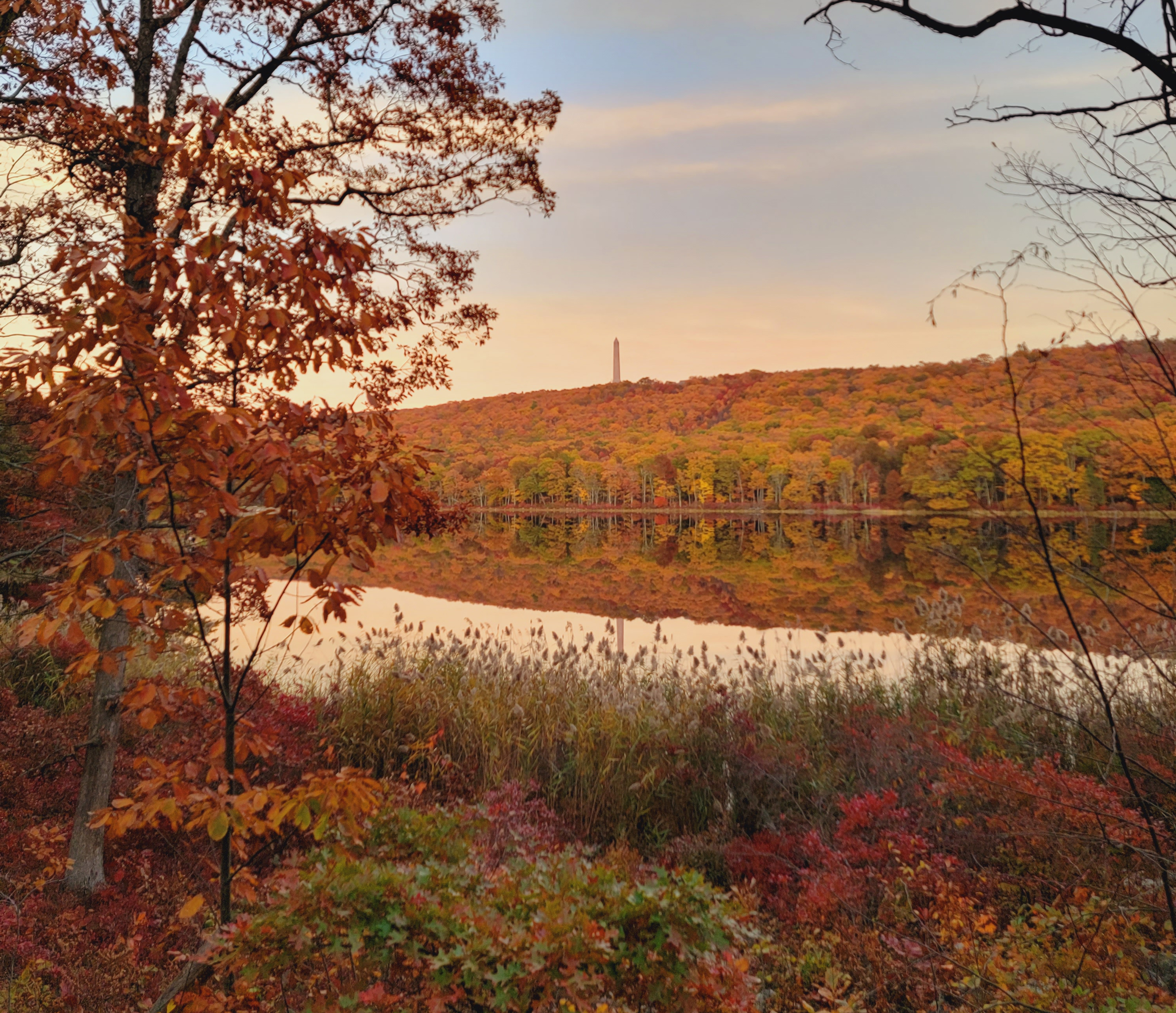 Brilliant fall foliage looking up towards High Point Monument (Sussex County) on October 22nd. Photo courtesy of Chris Stachelski. Brilliant fall foliage looking up towards High Point Monument (Sussex County) on October 22nd. Photo courtesy of Chris Stachelski.