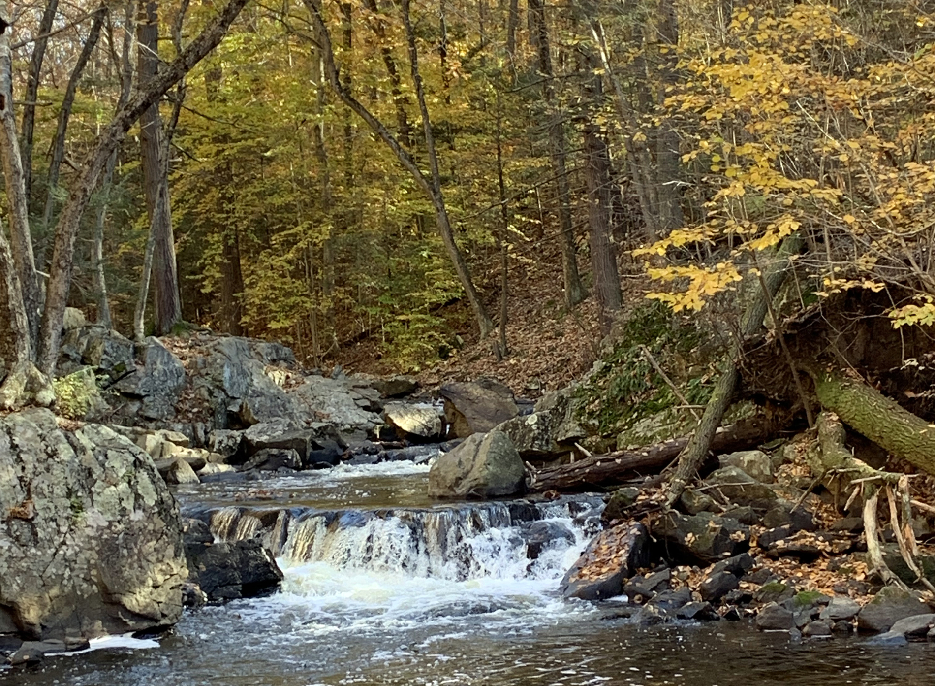 An autumnal view along the Lamington River in Hacklebarney State Park on the border of Chester Twp. and Washington Twp. (Morris County). Photo by Dave Robinson. An autumnal view along the Lamington River in Hacklebarney State Park on the border of Chester Twp. and Washington Twp. (Morris County). Photo by Dave Robinson.