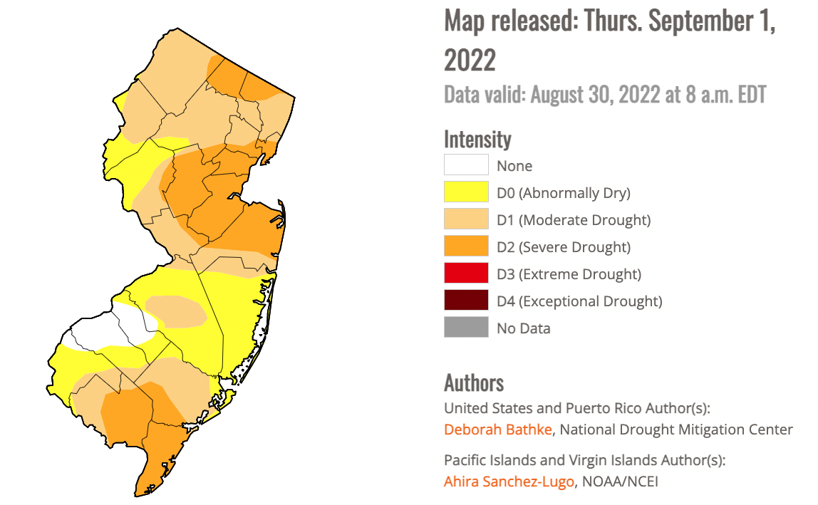 Figure 12. New Jersey portion of the U.S. Drought Monitor map for the last week of August. New Jersey portion of the U.S. Drought Monitor map for the last week of August.