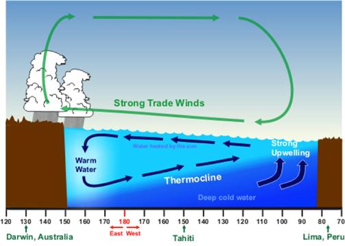 Figure 1. Diagram showing typical La Niña atmosphere and ocean circulation patterns in the tropical Pacific. (NWS/NOAA)