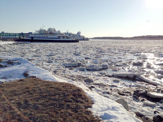 Icy waters at the Cape May-Lewes Ferry Terminal in North Cape May on the morning of February 20. Icy Cape May