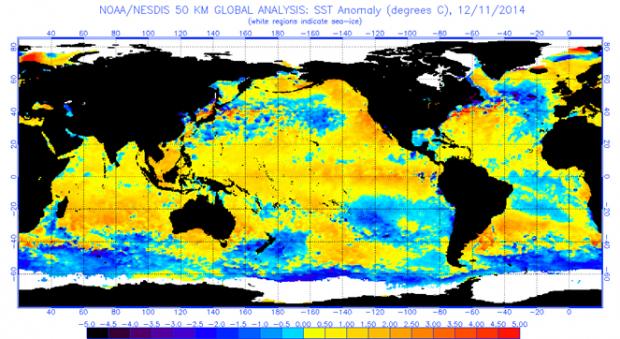 Figure 1. Global Sea Surface Temperature Anomalies on December 11, 2014. Global Sea Surface Temperature Anomalies