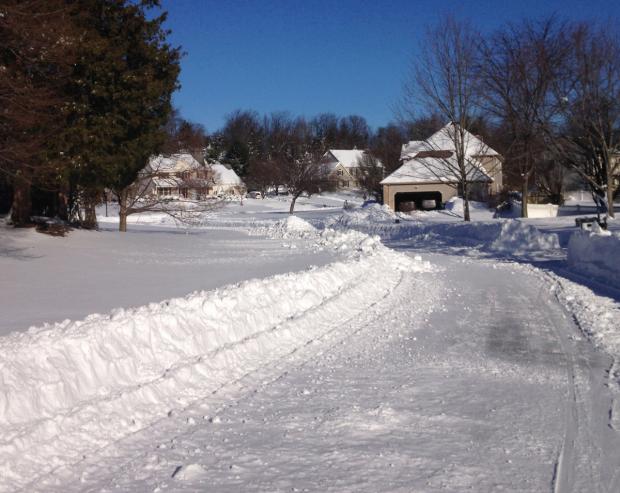 Snow in Hillsborough (Somerset County) on January 24, 2016, a day after a blizzard dropped 1.0–2.5 feet of snow over most of the state. Snow photo
