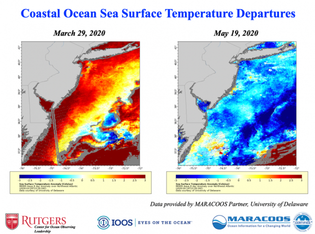 Figure 10. Sea surface temperature anomalies along the Mid-Atlantic coast on March 29th and May 19th, 2020. Courtesy of J. Kohut, Rutgers, and the U. Delaware. Sea surface temperatures off NJ on March 29th and May 19th