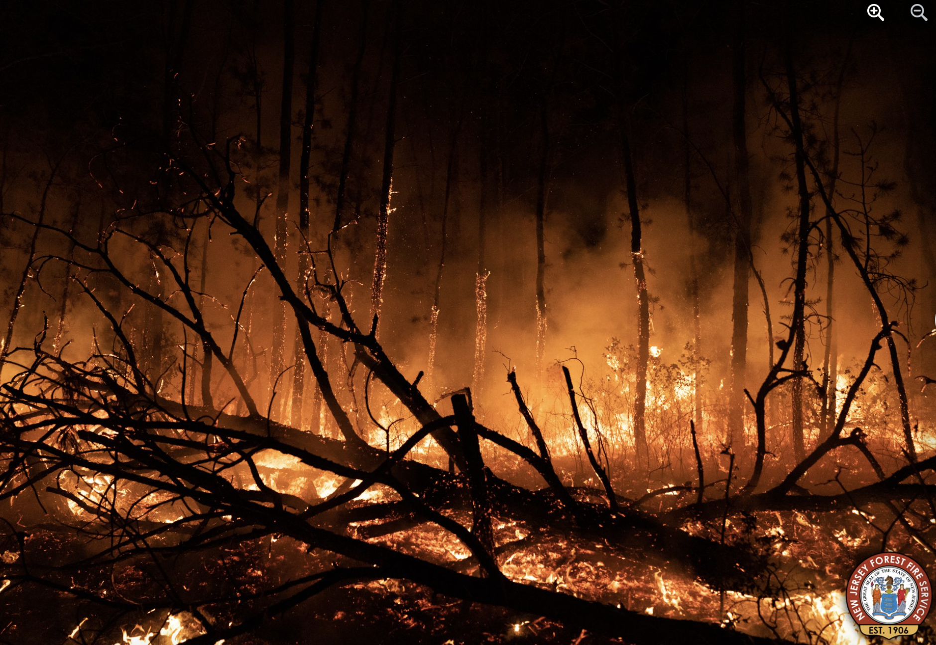 Figure 6. Ground-level photo of the Mullica River fire (NJDEP). Ground-level photo of the Mullica River fire.