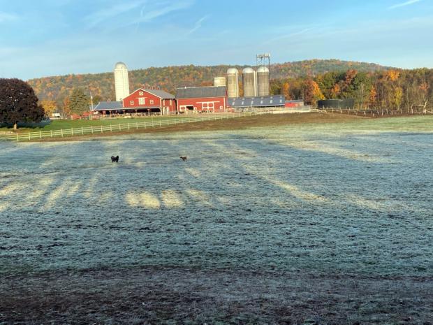 Figure 6. A frosty Sussex (Sussex) farm field along with peak foliage on the morning of October 18th (courtesy of N. Stefano). Frost-covered field in Sussex on October 18th
