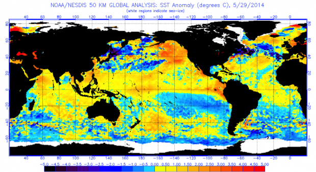 Sea Surface Temperature (SST) anomalies for May 29, 2014. NOAA/NESDIS. Sea Surface Temperature (SST) anomalies for May 29, 2014. NOAA/NESDIS.