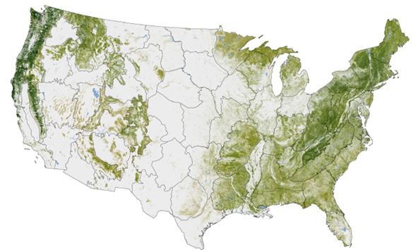 Aboveground woody biomass throughout the US. (Source: NASA Earth Observatory map by Robert Simmon) Aboveground woody biomass